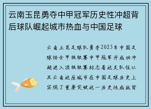 云南玉昆勇夺中甲冠军历史性冲超背后球队崛起城市热血与中国足球